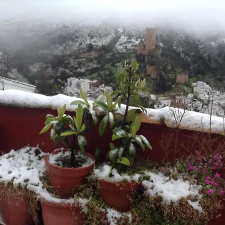 Mira * Cazorla
