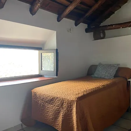 Mira Cazorla