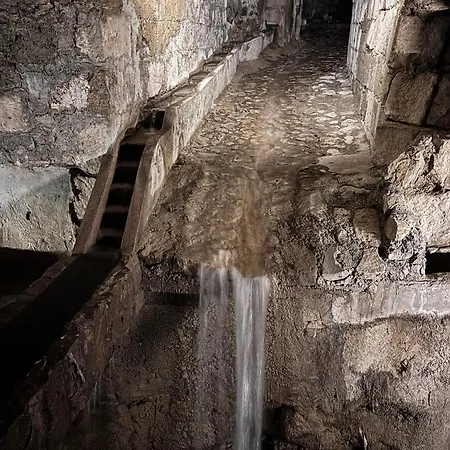 Mira Cazorla