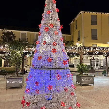 Mira Cazorla